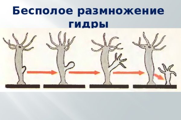 Кракен вход официальный сайт