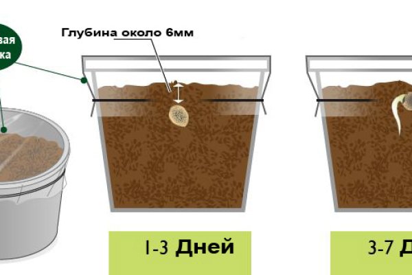 Как написать администрации даркнета кракен