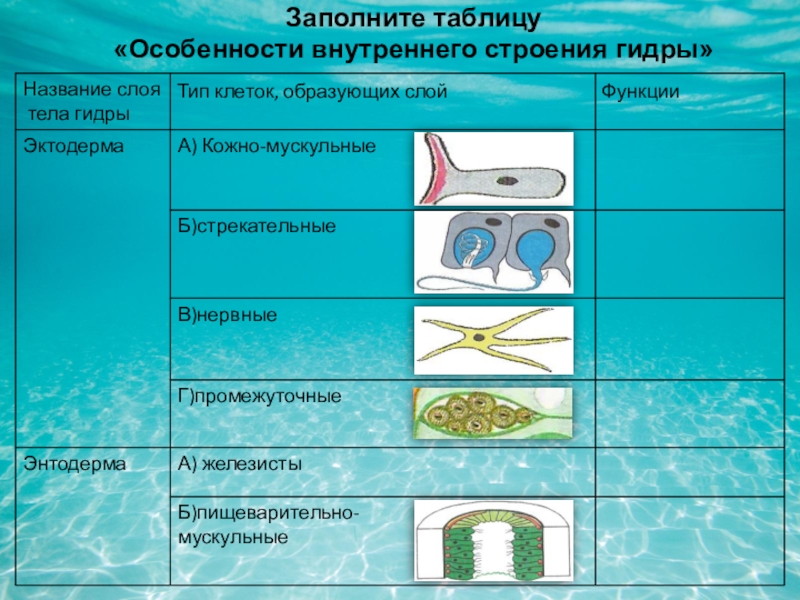 Кракен сайт 1kraken me официальный